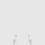 트리옹프 애시메트릭 후프 460RD6