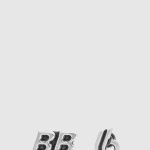 더블 B 귀걸이 723856