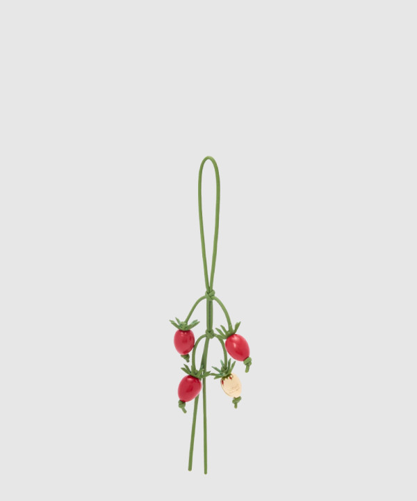 1751278848_page1_thumb-mian_600x720 토마토 바인 참 - 이미지 1